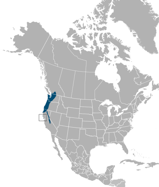 File:Aplodontiinae range.png