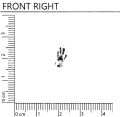 Thumbnail for version as of 02:18, 30 July 2026