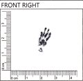 Thumbnail for version as of 14:44, 9 August 2026
